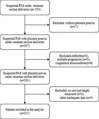 Association between cervical length and massive intraoperative bleeding in patients with suspected placenta accreta spectrum combined with placenta previa: A retrospective cohort study